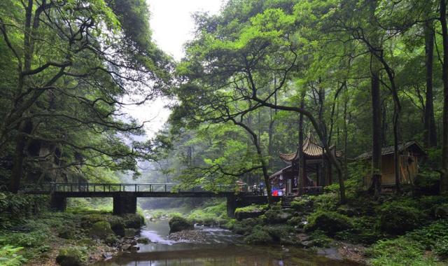 장가계 원가계 & 천자산 삼림공원 트래킹 투어