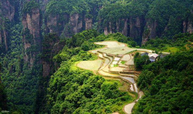 장가계 원가계 & 천자산 삼림공원 트래킹 투어
