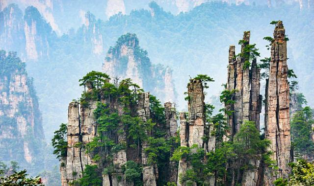 장가계 원가계 & 천자산 삼림공원 트래킹 투어