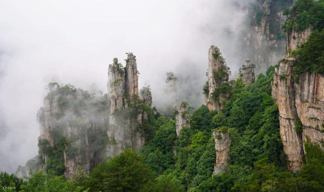 장가계 원가계 & 천자산 삼림공원 트래킹 투어