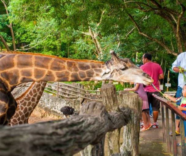 activity_detail_image