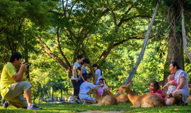 パタヤ・カオキアオオープン動物園半日プライベートツアー(バンコク出発)