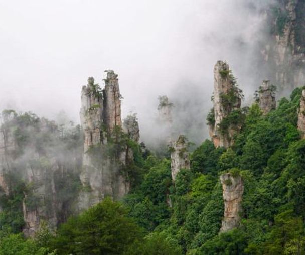 activity_detail_image