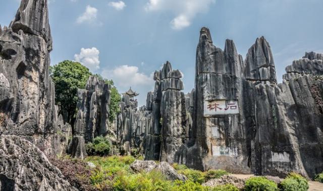 쿤밍 석림 & 구향 동굴 일일 투어