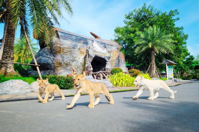 방콕 스리아유타야 라이언 파크 & 선셋 일일 투어 (한국인전용, 조인/단독 선택 가능)