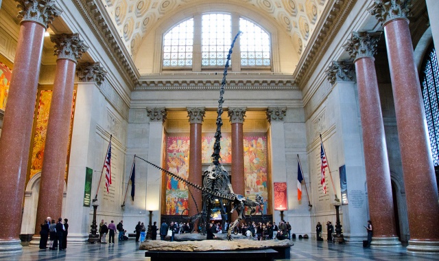 [타미스] 뉴욕 국립 자연사 박물관 할인 입장권