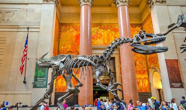 [타미스] 뉴욕 국립 자연사 박물관 할인 입장권