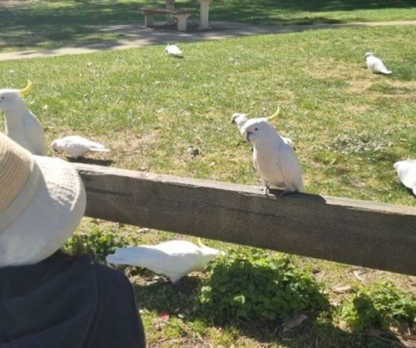 activity_detail_image