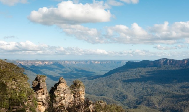 [고호주] 시드니 공항 픽업 + 블루마운틴 & 페더데일 동물원 단독 투어