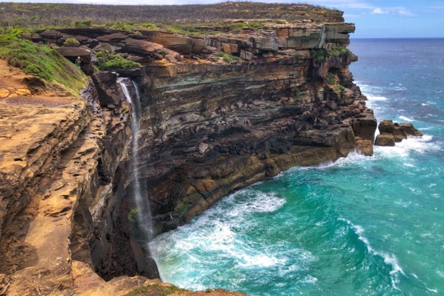 [고호주] 남쪽 해안 씨클리프 브릿지 & 와타몰라비치 트래킹 투어