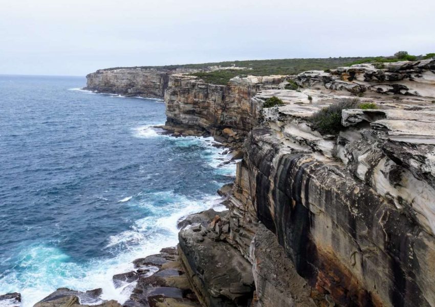 [고호주] 남쪽 해안 씨클리프 브릿지 & 와타몰라비치 트래킹 투어