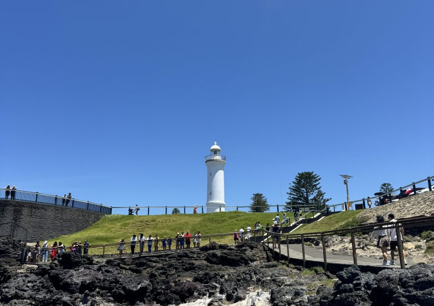 [고호주] 남쪽 해안 씨클리프 브릿지 & 와타몰라비치 트래킹 투어