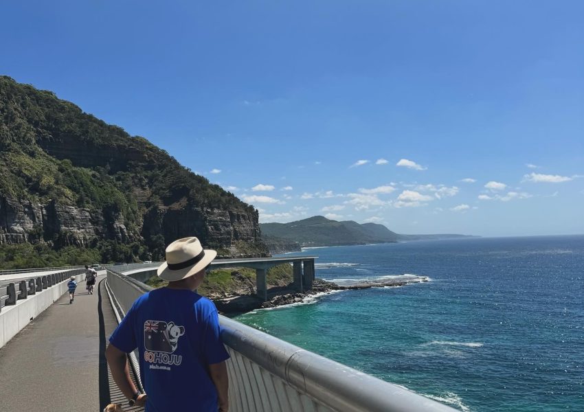 [고호주] 남쪽 해안 씨클리프 브릿지 & 와타몰라비치 트래킹 투어