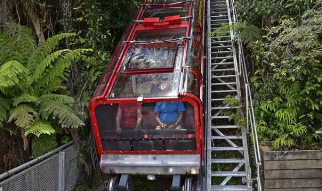 [고호주] 블루마운틴 & 킹스테이블랜드 & 페더데일 & 시닉월드 & 별보기 투어