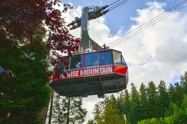 Vancouver Grouse Mountain Summer Admission Ticket
