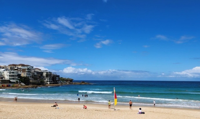 [고호주] 시드니 공항 픽업 & 소그룹 동부투어 + 시드니 대학 캠퍼스