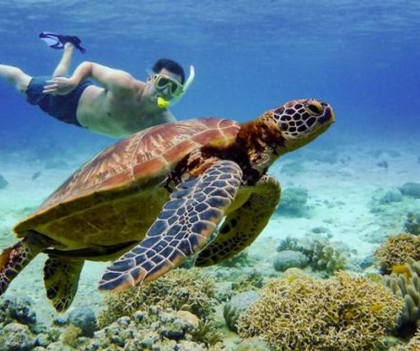 activity_detail_image