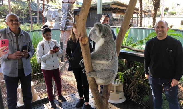 [고호주] 1박2일 4성급 호텔 숙박 - 포트스테판 & 헌터밸리 투어