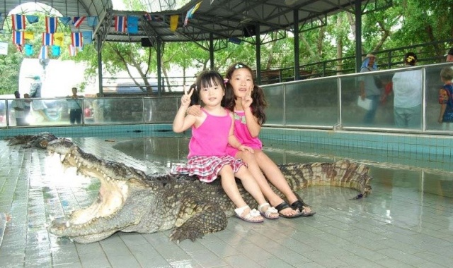 パタヤ・クロコダイルファームデイツアー（ホテルピックアップ込み）