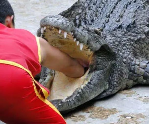 activity_detail_image