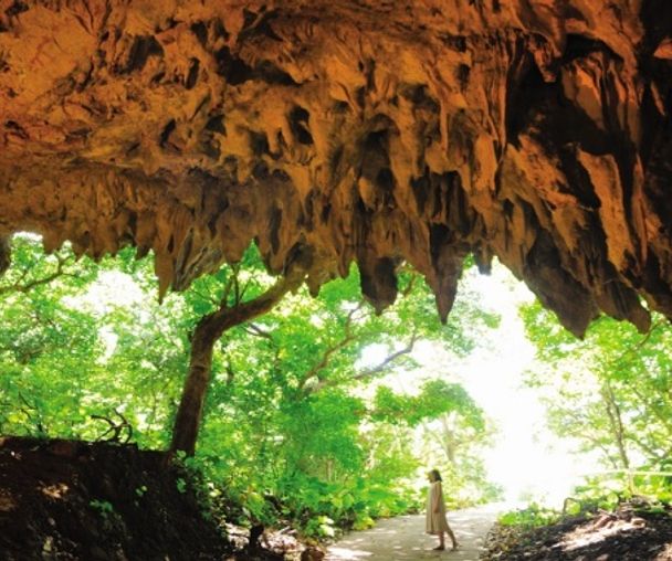 activity_detail_image