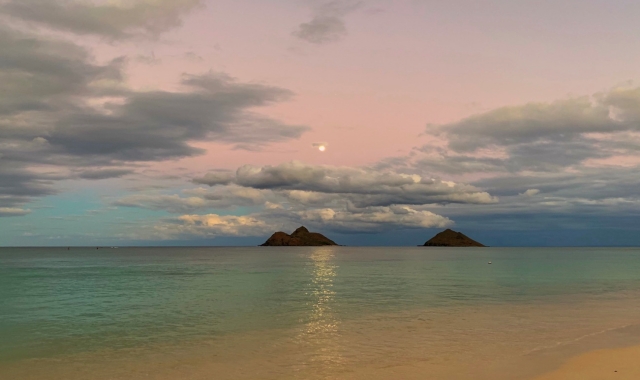 Hawaii Island Private Tour with a Female Photographer