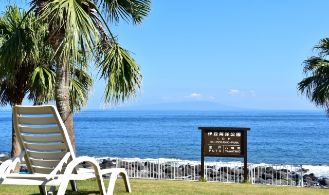 Tokai Bus 1-Day Free Pass (Izu Kogen & Jogasaki, Shizuoka)