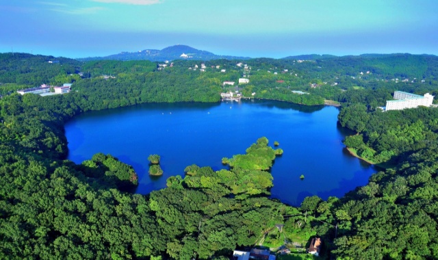 Tokai Bus 1-Day Free Pass (Izu Kogen & Jogasaki, Shizuoka)