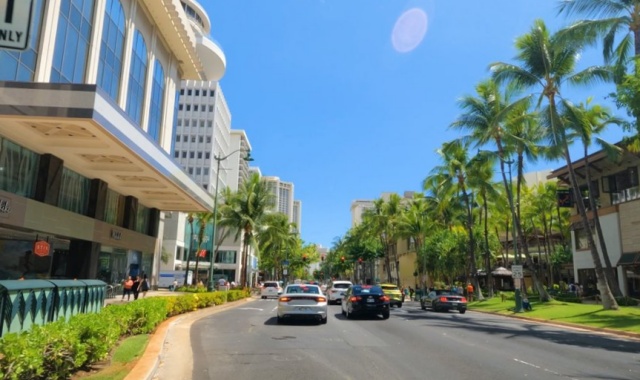 하와이 호놀룰루 공항 픽업 + 와이키키 드라이빙 투어