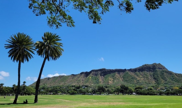 하와이 호놀룰루 공항 픽업 + 와이키키 드라이빙 투어