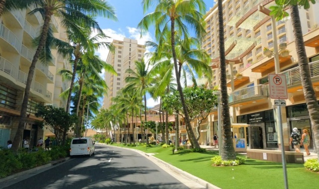 하와이 호놀룰루 공항 픽업 + 와이키키 드라이빙 투어