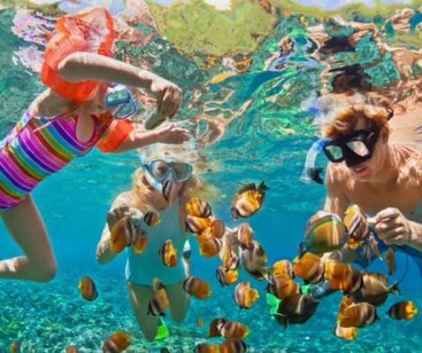 activity_detail_image