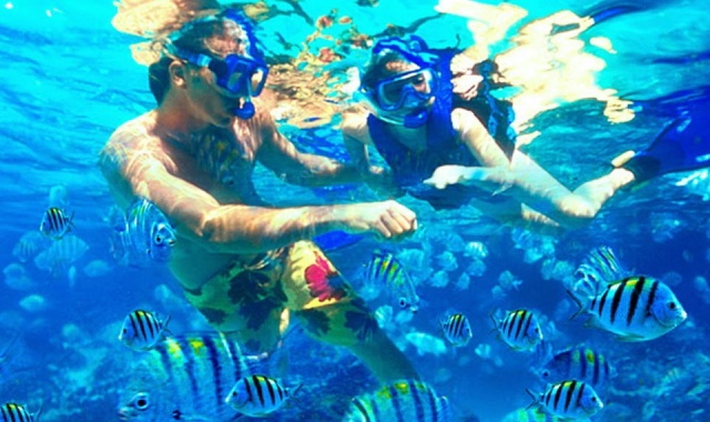 발리 해양 스포츠 3종 투어 (왕복 픽업 & 중식 포함)