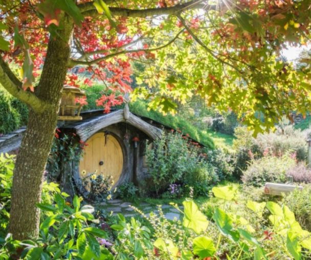 activity_detail_image