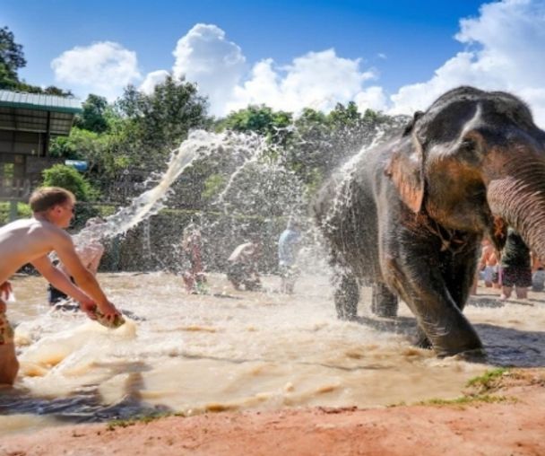 activity_detail_image