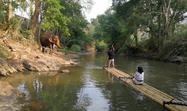 치앙마이 코끼리 생츄어리 & 뱀부 래프팅 일일 투어