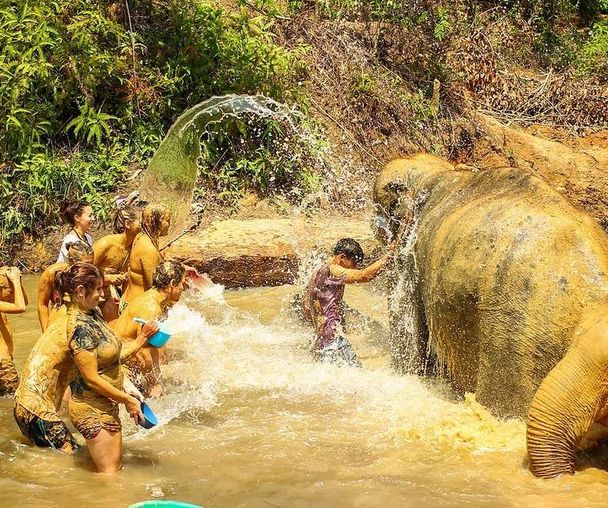 activity_detail_image