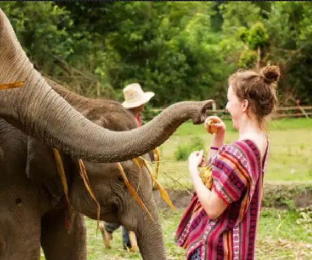 activity_detail_image