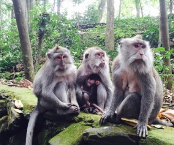 activity_detail_image