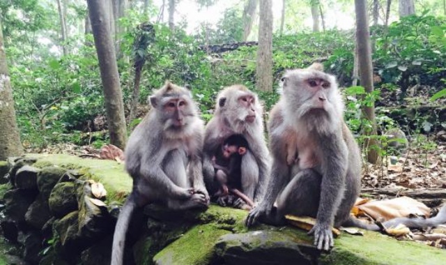발리 내맘대로 맞춤 단독 투어 (한국어 가이드 & 숙소 왕복 픽업 포함)