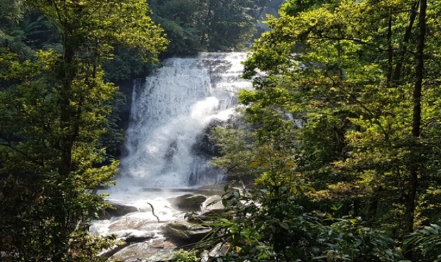치앙마이 코끼리 생츄어리 & 도이인타논 트래킹 일일 투어 (숙소 픽업 & 샌딩 포함)