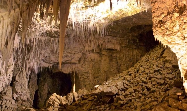[다니엘] 뉴질랜드 오클랜드 출발: 와이토모 반딧불 동굴 & 호빗마을 단독 투어