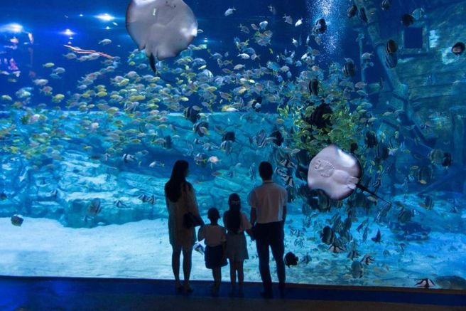 ハノイ・ロッテワールド水族館 入場チケット
