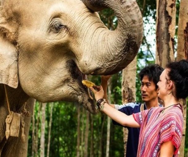 activity_detail_image