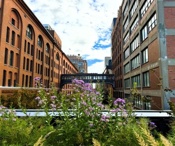 activity_detail_image