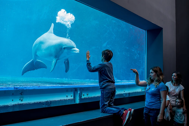 Genoa Aquarium Ticket with Lunch