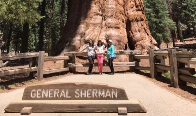 [LA사랑방] [1박2일] 킹스 캐년 & 세궤이아 국립 공원 투어 - 세상에서 가장 큰 나무 거목의 향연