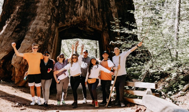 [LA사랑방] [1박2일] 킹스 캐년 & 세궤이아 국립 공원 투어 - 세상에서 가장 큰 나무 거목의 향연