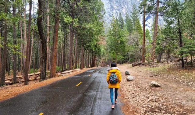 [LA사랑방] [1박2일] 킹스 캐년 & 세궤이아 국립 공원 투어 - 세상에서 가장 큰 나무 거목의 향연
