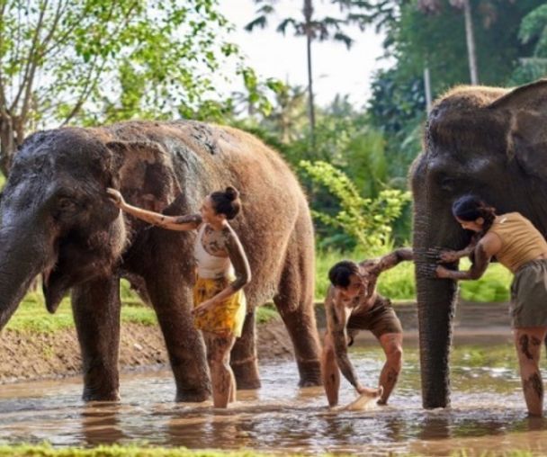 activity_detail_image